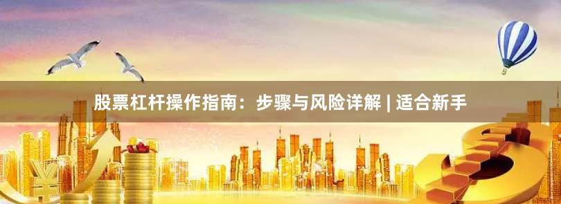 股票杠杆操作指南：步骤与风险详解 | 适合新手